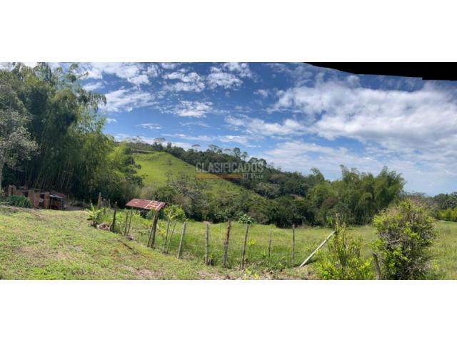 Lotes, Venta en Pance