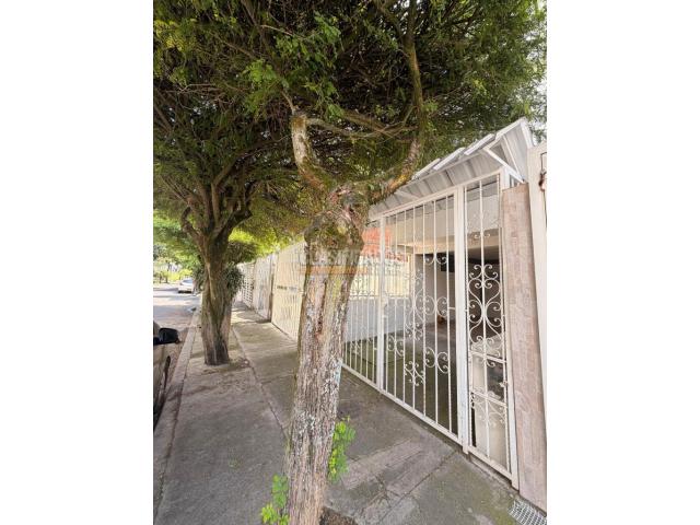 Apartamentos, Alquiler en Calicanto