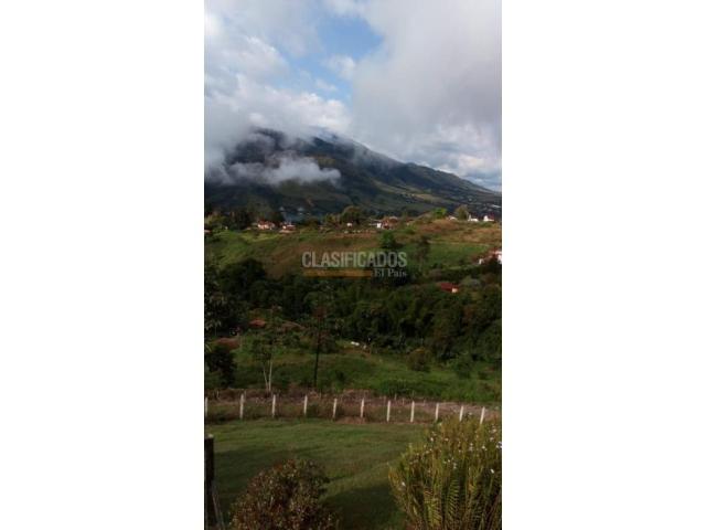 Fincas y Casas Campestres, Venta en Calima (Darién)