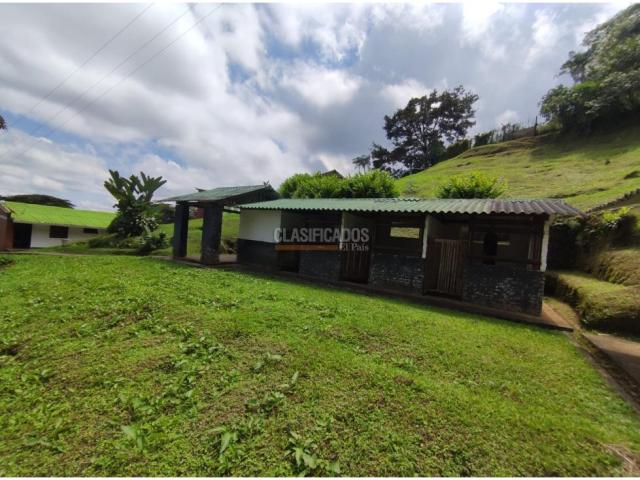 Fincas y Casas Campestres, Venta en Dapa