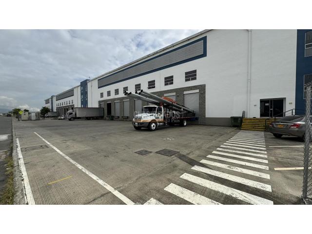 Locales y Bodegas, Alquiler en Palmira