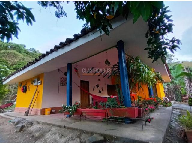 Fincas y Casas Campestres, Venta en Guacarí