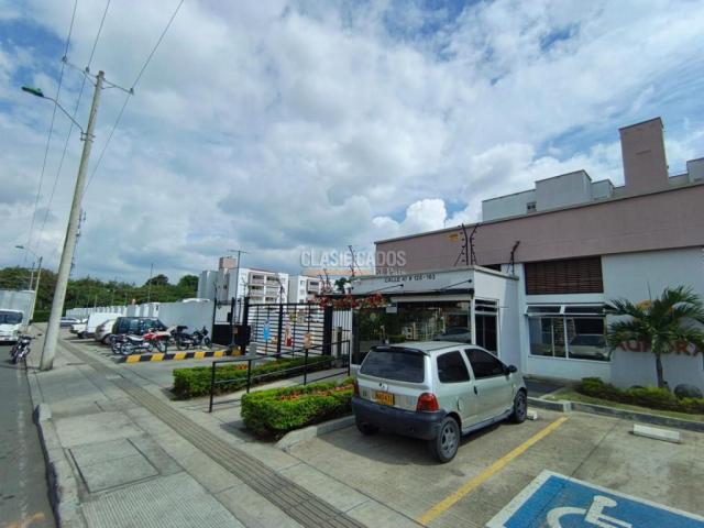 Apartamentos, Alquiler en Ciudad Pacifica