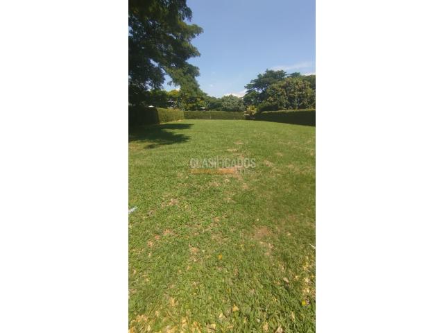 Lotes, Venta en Jamundí