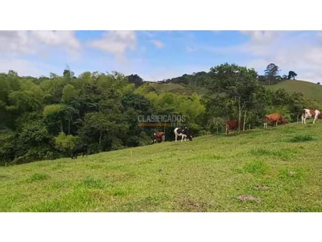 Fincas y Casas Campestres, Venta en La Cumbre