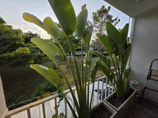 Casas, Venta en Jamundí