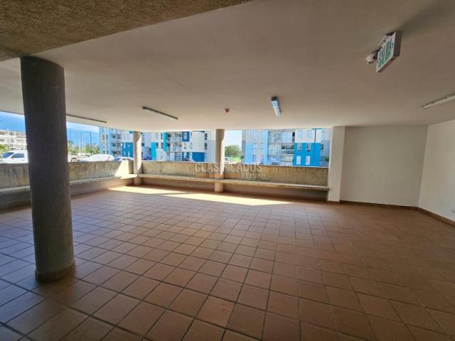 Apartamentos, Alquiler en Palmira