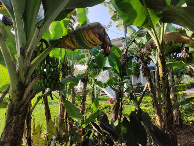 Lotes, Venta en Candelaria