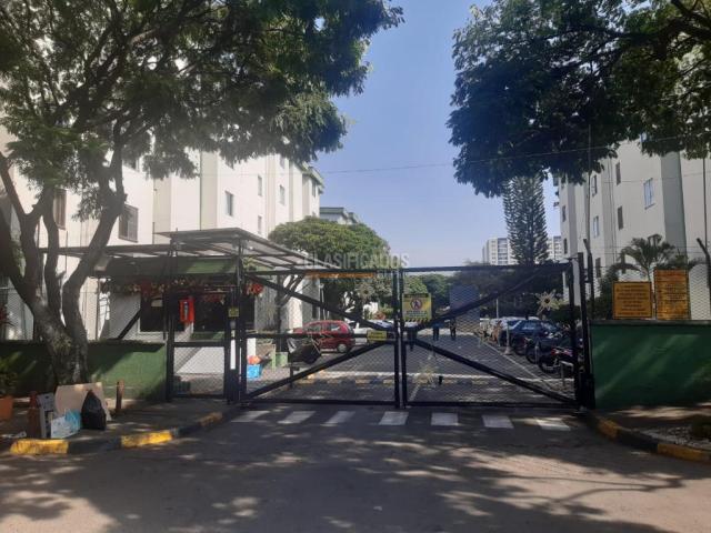 Apartamentos, Alquiler en Primero de Mayo