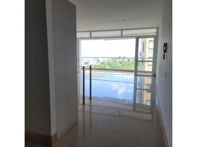 Apartamentos, Alquiler en Bellavista