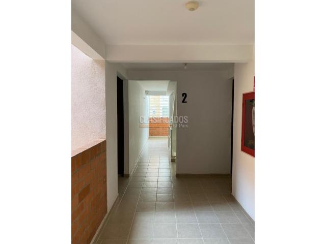 Apartamentos, Alquiler en Bellavista