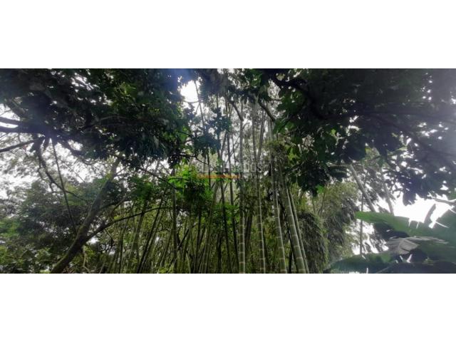 Lotes, Venta en Jamundí