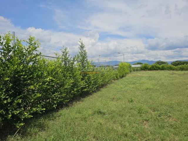 Lotes, Venta en Palmira