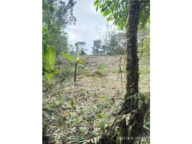 Lotes, Venta en Yumbo