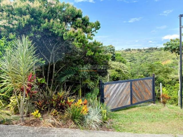 Lotes, Venta en Pance