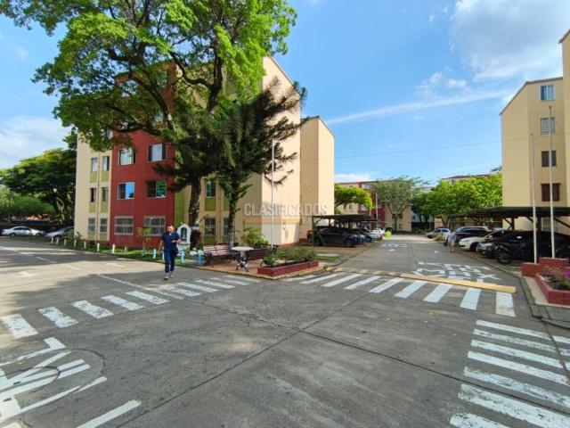 Apartamentos, Alquiler en Primero de Mayo