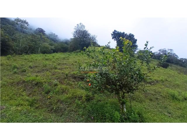 Fincas y Casas Campestres, Venta en Restrepo