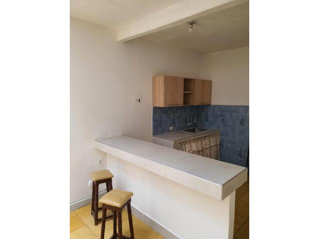 Apartamentos, Alquiler en 7 de Agosto