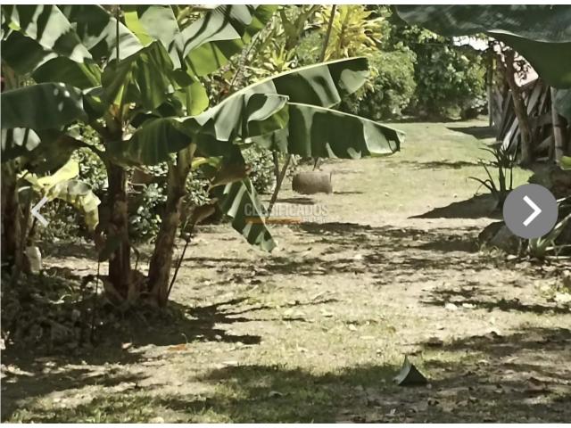 Fincas y Casas Campestres, Venta en Sameco