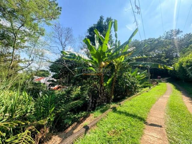 Lotes, Venta en Guadalupe