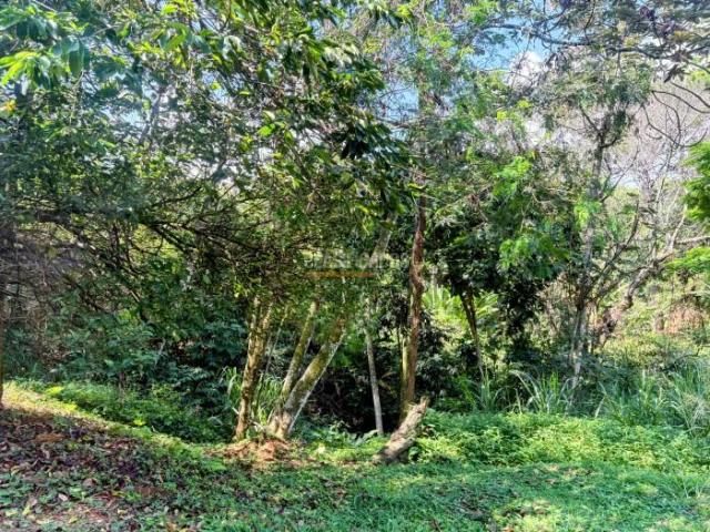 Lotes, Venta en Guadalupe