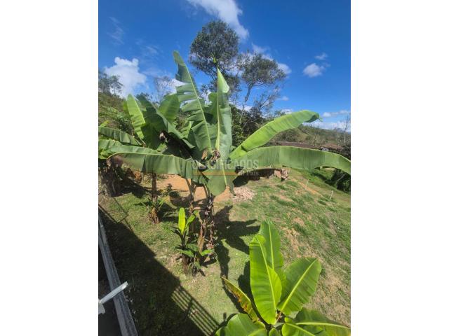 Fincas y Casas Campestres, Venta en Dagua