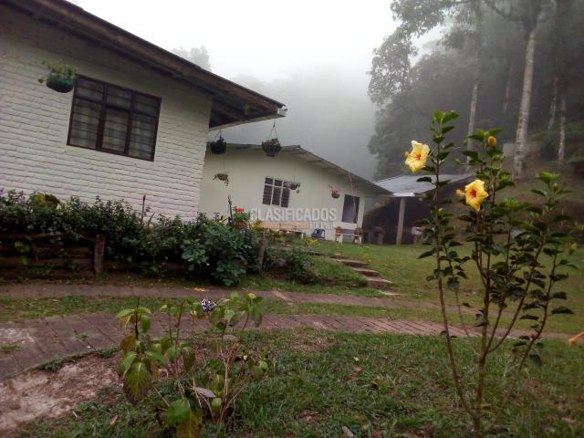 Fincas y Casas Campestres, Venta en La Elvira