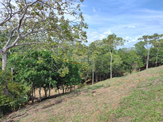 Lotes, Venta en Pance