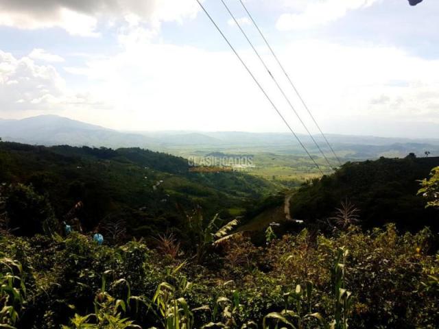 Fincas y Casas Campestres, Venta en Sevilla