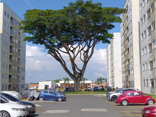 Apartamentos, Alquiler en Jamundí