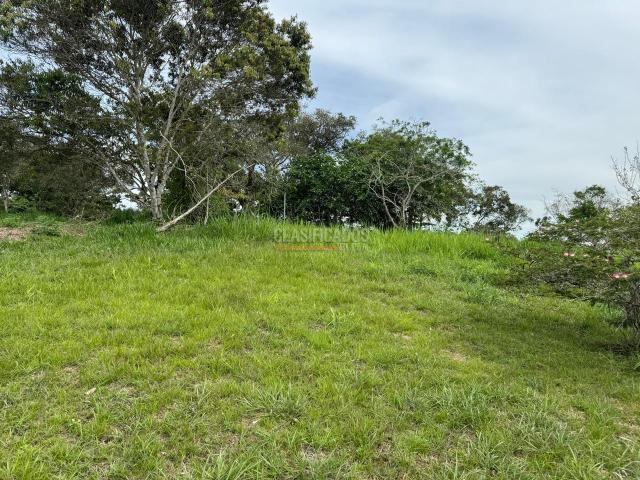 Lotes, Venta en Dagua