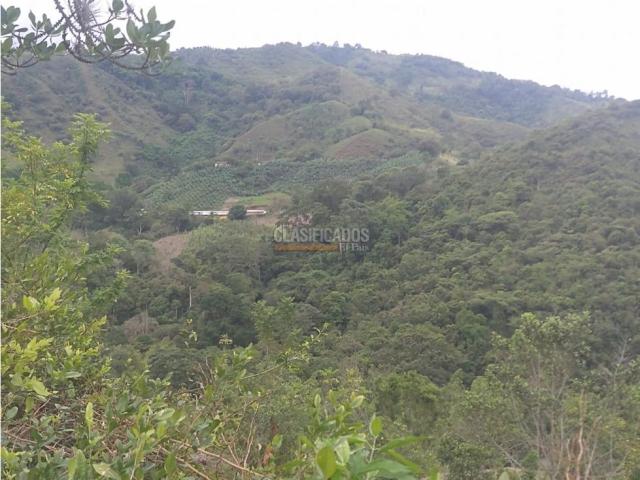 Fincas y Casas Campestres, Venta en Guacarí