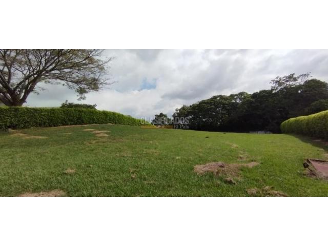 Lotes, Venta en Pance