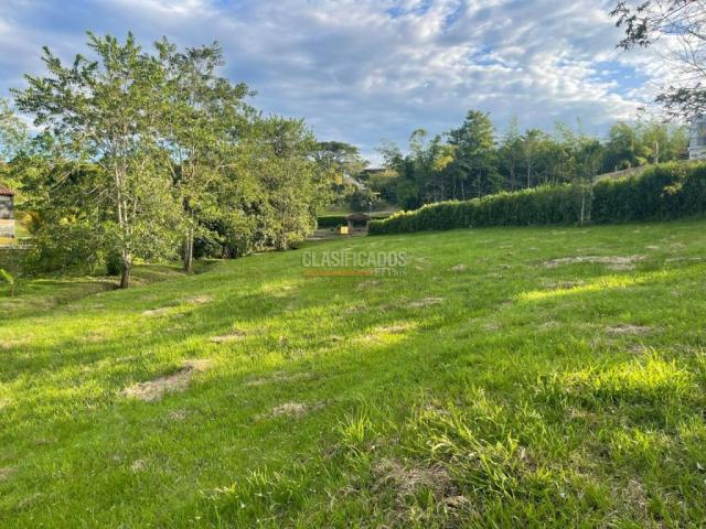 Lotes, Venta en Viterbo