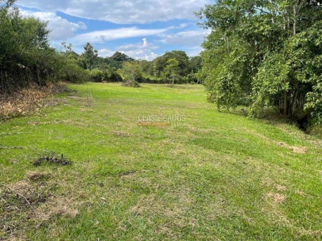 Lotes, Venta en Viterbo