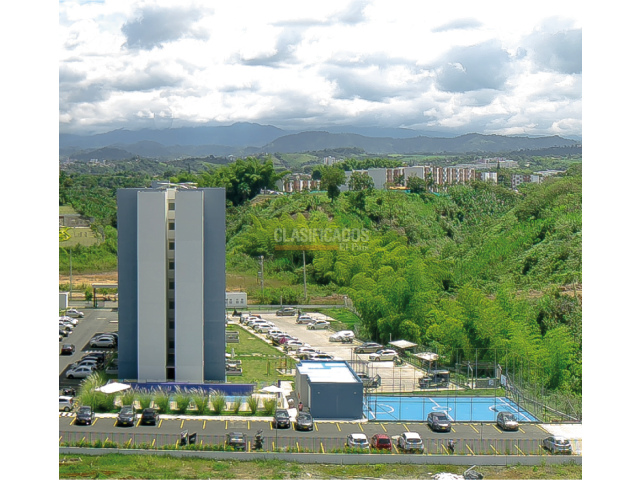 Apartamentos, Alquiler en Pereira