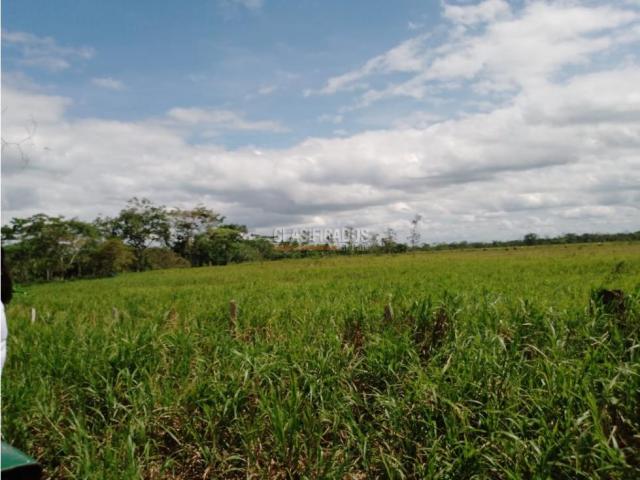 Lotes, Venta en Villavicencio