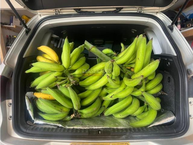 Fincas y Casas Campestres, Venta en Dagua