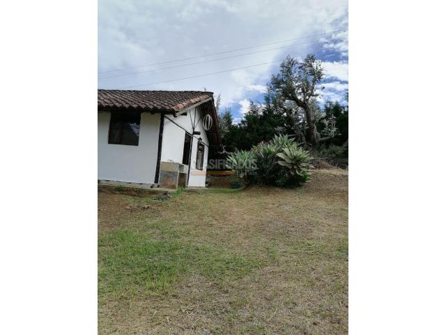 Fincas y Casas Campestres, Alquiler en Dapa