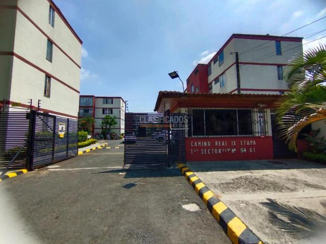 Apartamentos, Alquiler en Camino Real