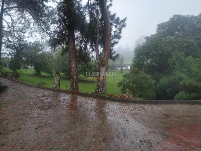 Fincas y Casas Campestres, Venta en Dagua