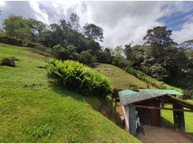 Fincas y Casas Campestres, Venta en Dapa