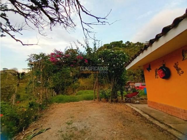 Fincas y Casas Campestres, Venta en Guacarí