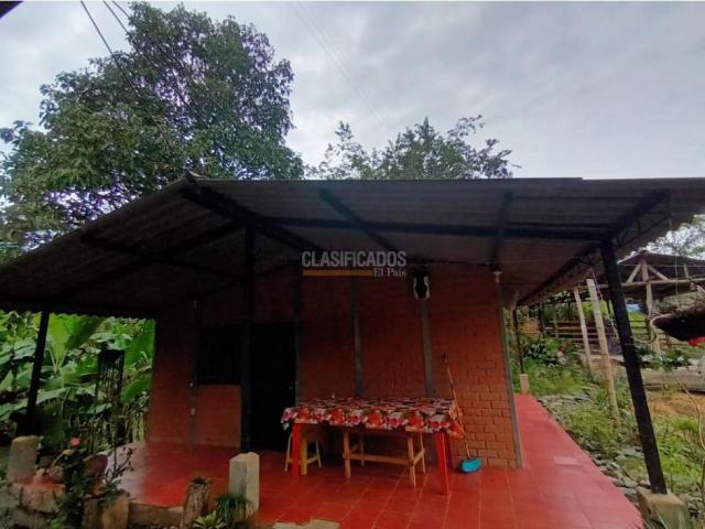 Fincas y Casas Campestres, Venta en Guacarí