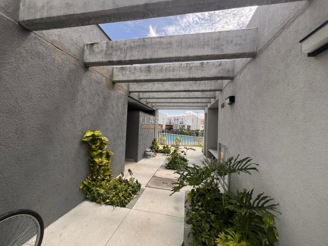 Casas, Alquiler en Jamundí