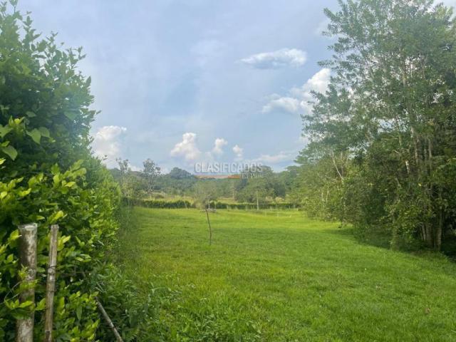 Lotes, Venta en Viterbo