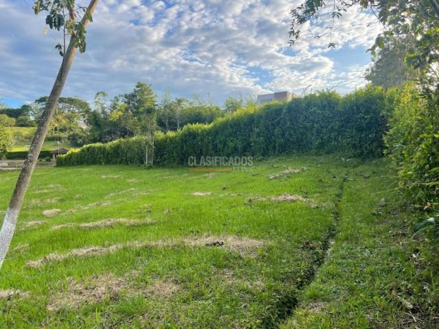 Lotes, Venta en Viterbo