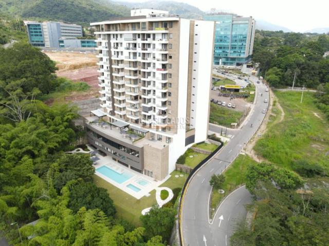 Apartamentos, Alquiler en Floridablanca