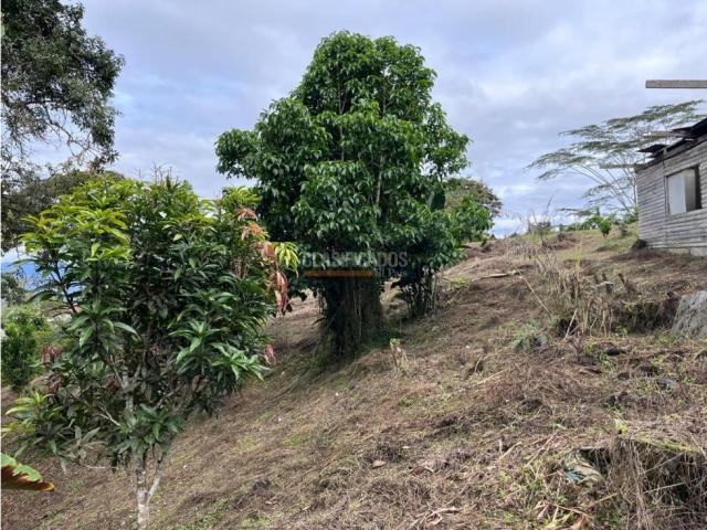 Lotes, Venta en Dagua