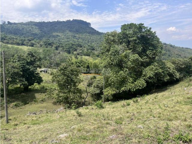 Lotes, Venta en Dapa